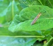 DSCF1477 (2).webp