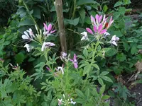 DSC03221.webp