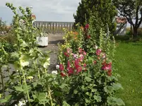 DSC03225.webp
