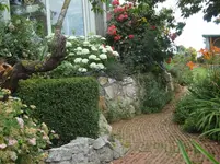 DSC03252.webp