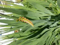 DSCN5889_01.jpg