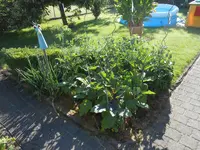 DSCN5892_01.webp