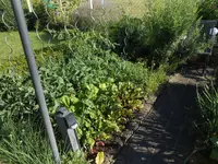DSCN5893_01.webp