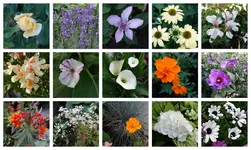 IMG_20180618_094848999.png