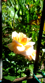 2018-06-22_10-47-50-1.webp