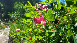 2018-06-22_11-00-24-1.webp
