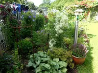 Gartenansichten 1.webp