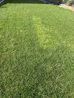 IMG_20180622_181431926.webp