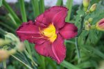 Garten Juni 46.jpg