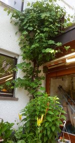 2018-06-22_17-42-37-1.webp