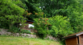 2018-06-22_17-45-00-1.webp