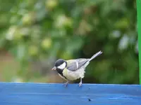 image002.jpg