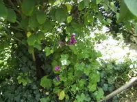 BILD9902.webp