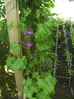 BILD9903.webp
