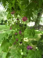 BILD9904.webp
