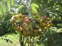 BILD9909.webp