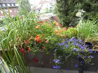 P1100088Kasten links.webp