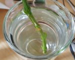 20180623_151629_resized.jpg