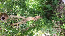 20180623_130403.webp