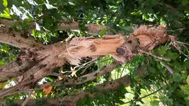 20180623_130355.webp