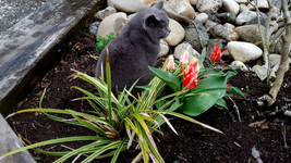 2018-04-15_19-32-53-1.webp