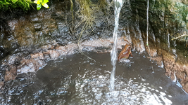 2018-05-11_17-18-07-1.webp