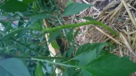 WP_20180623_010.webp