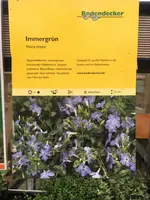 0127df62e9e1cf6f5790fca76c3258097e1924a5ae.webp 0127df62e9e1cf6f5790fca76c3258097e1924a5ae.webp