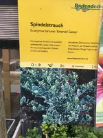 01561597dae1ebf300c8107b03296794ad9073dd97.webp 01561597dae1ebf300c8107b03296794ad9073dd97.webp