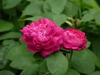 68C7F364-3FA9-41D6-9630-22650C6B129E.webp