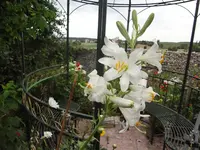 DSC03287.webp