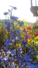 2018-06-23_19-27-23-1.webp