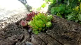 2018-06-23_19-33-43-1.webp
