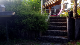 2018-06-23_19-37-32-1.webp