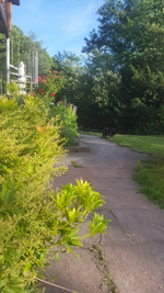 2018-06-23_19-34-10-1.webp