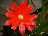 DSCI0841.webp