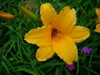 DSCI0848.webp