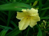 DSCI0852.webp