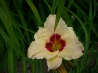 DSCI0854.webp