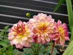 20180624_114042.jpg