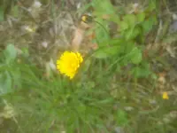 DSC05063.webp