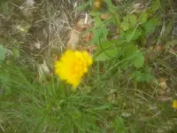 DSC05064.webp