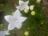 DSC05067.webp