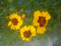 DSC05073.webp