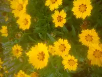 DSC05078.webp