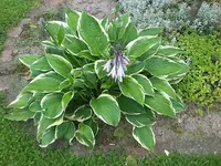 20180624_095117.webp