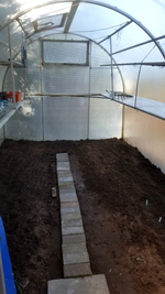 2018-04-06_11-59-09-1.webp