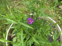 BILD9937.webp