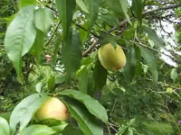 BILD9942.webp