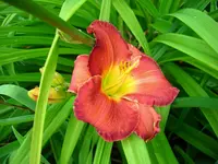 DSCI0862.webp
